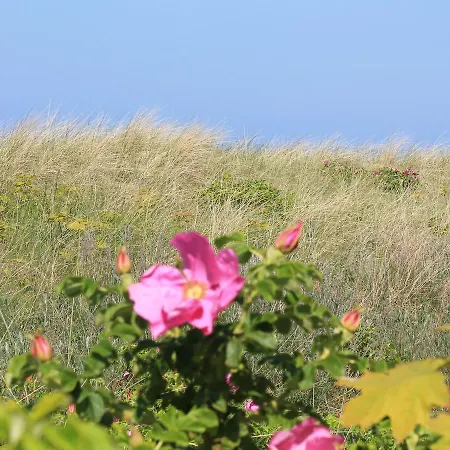 别墅 Luxurious In Near Baltic Sea Ostseebad Kühlungsborn
